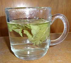 Cedron oder Citron Tee Teesorte 